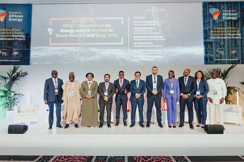 Show Invest in African Energy