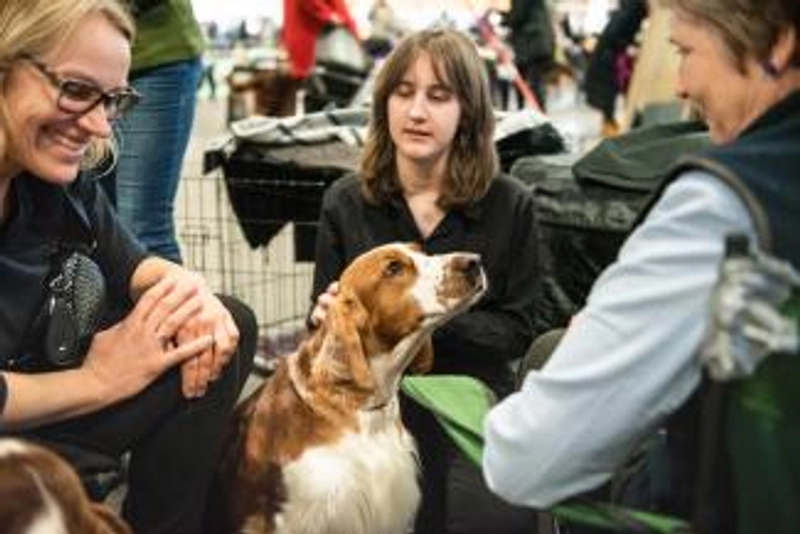 Event International Dog and Cat Show