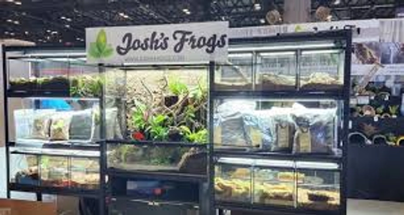 Event Michigan Reptile and Pet Expo