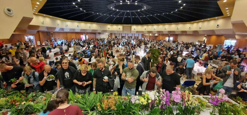 Event Ziva Exotika