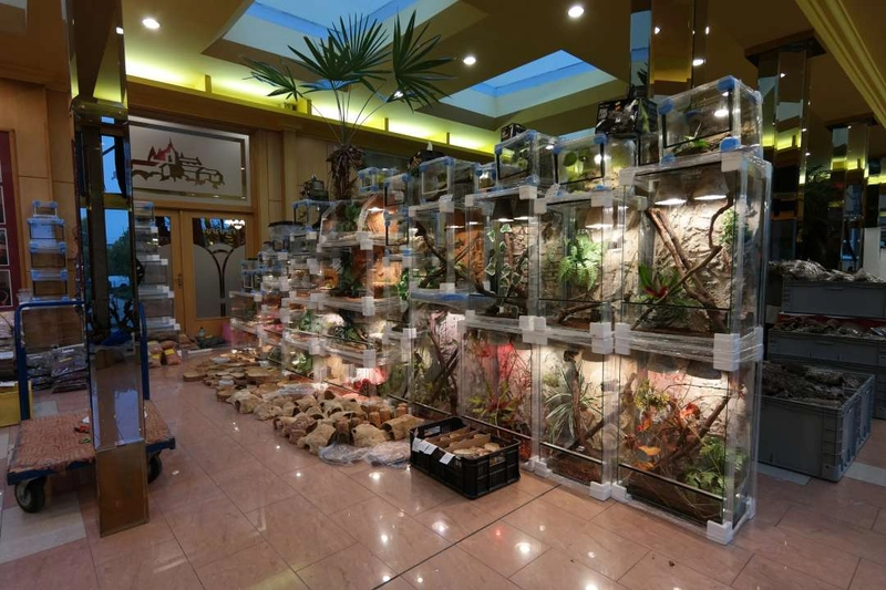 Show Ziva Exotika