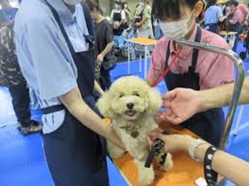 Show Pet Expo Nagoya