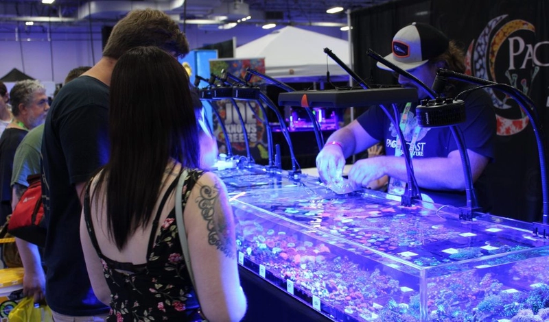 Event Reefapalooza New York 