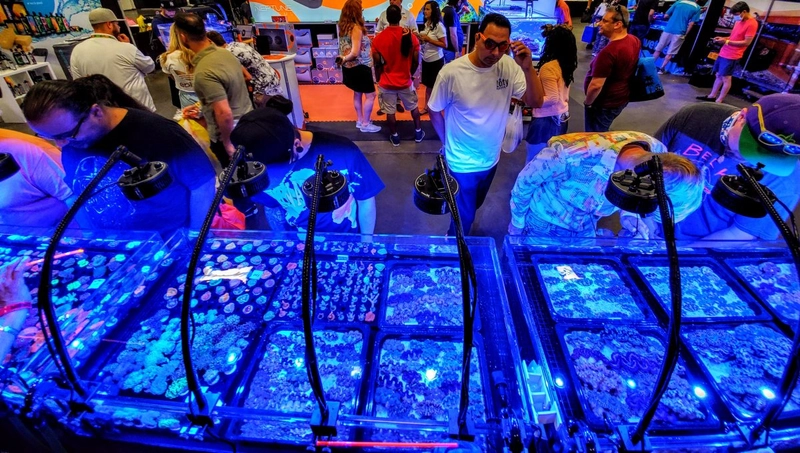 Show Reefapalooza New York 
