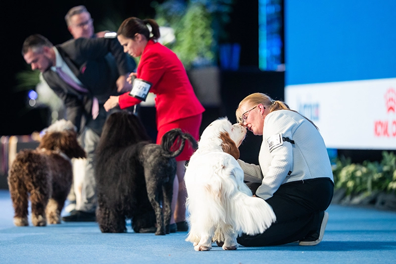 Event FCI World Dog Show