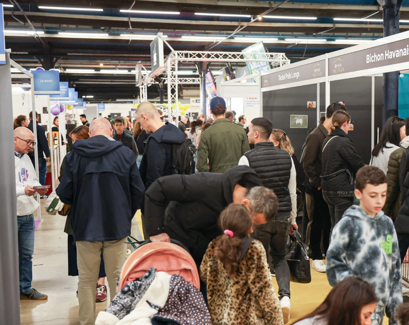 Show Animal Expo