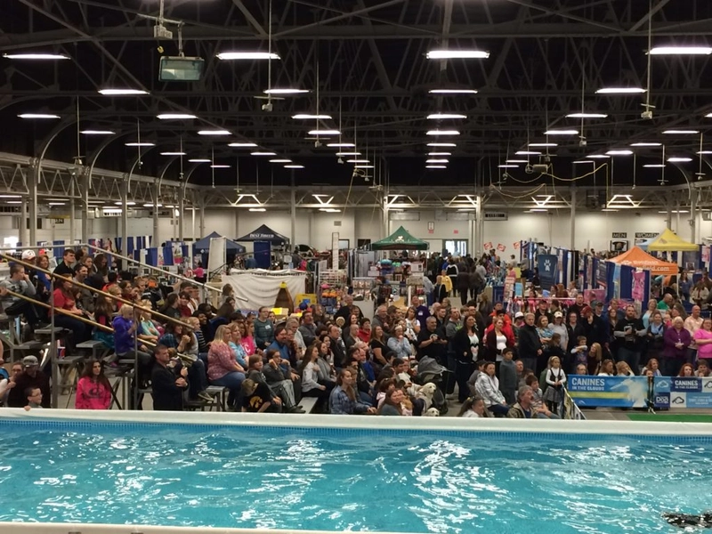 Show Great Iowa Pet Expo