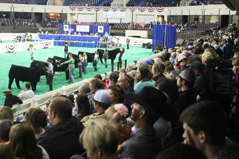Show North American International Livestock Exposition