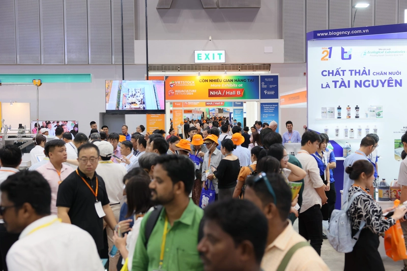 Show Vietstock Expo & Forum