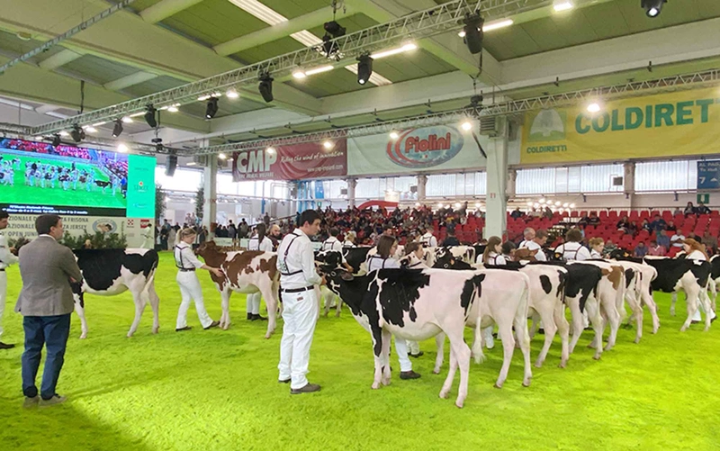 Event Italian Agricultural and Livestock Fair
