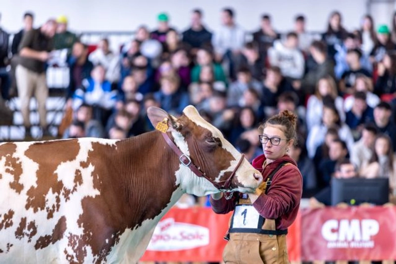 Show Italian Agricultural and Livestock Fair