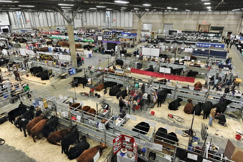 Event Farmfair International 