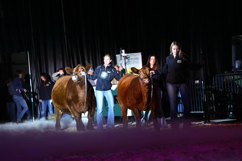 Show Farmfair International 