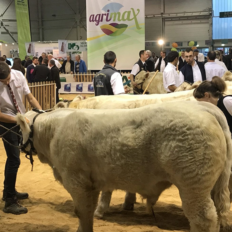 Exhibition Agrimax Grand Est