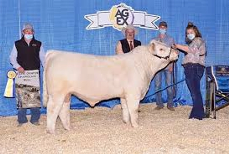 Trade show Manitoba AG EX