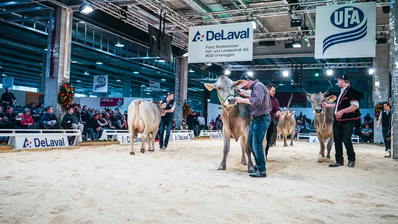 Trade show TierTechnik - International Trade Fair for Livestock Husbandry, Agricultural Production, Special Crops and Agricultural Technology 