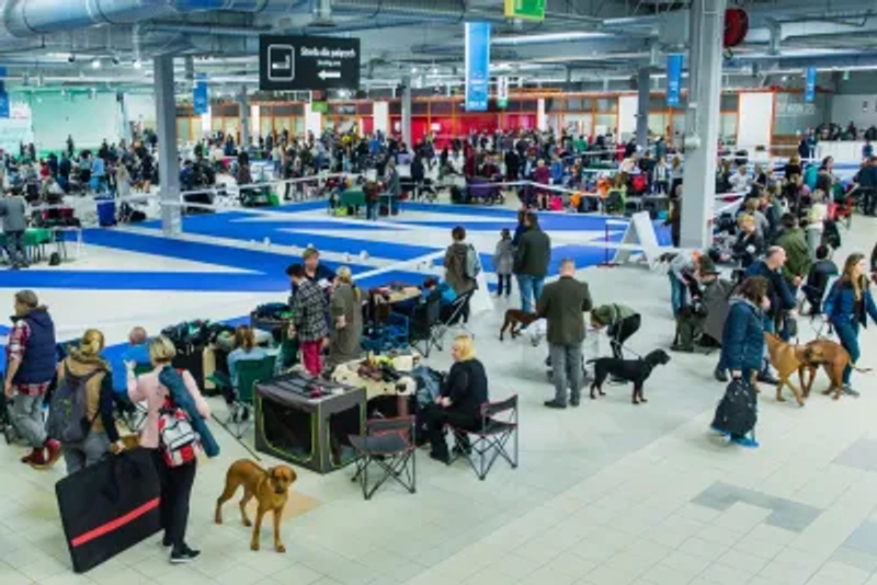 Show Animals and Veterinary Days