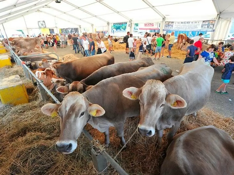 Trade show Fiera di Sant Alessandro