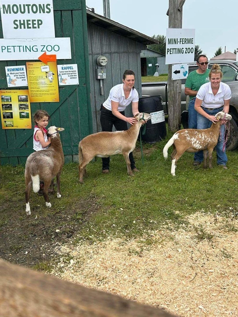 Event Cookshire Agricultural Fair