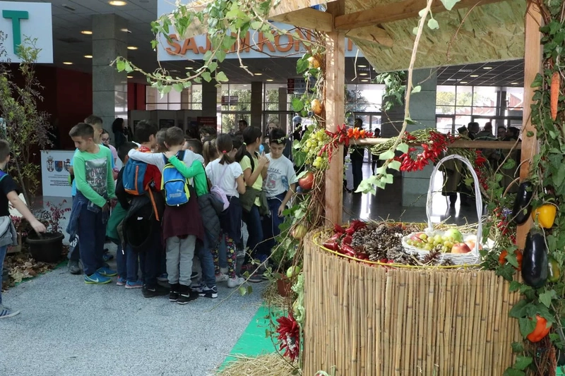 Show Fair of Ecology