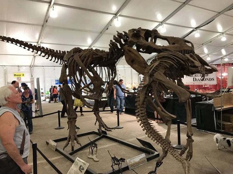 Trade show Street Mineral, Fossil, Gem & Jewelry Show