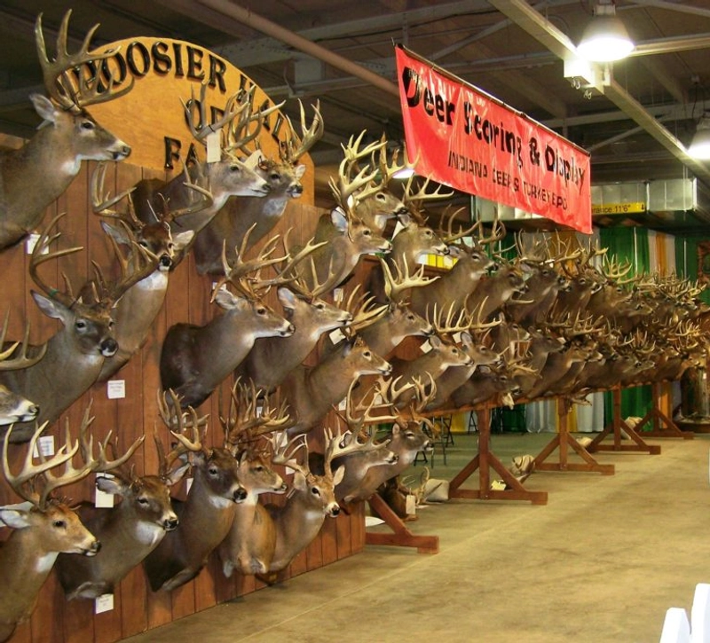 Event INDIANA DEER, TURKEY, & WATERFOWL EXPO