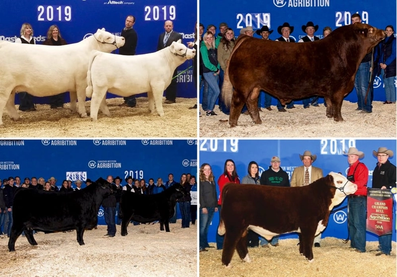 Show Canadian Western Agribition