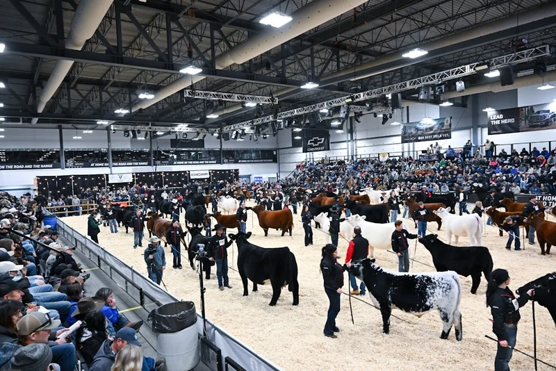 Trade show Canadian Western Agribition