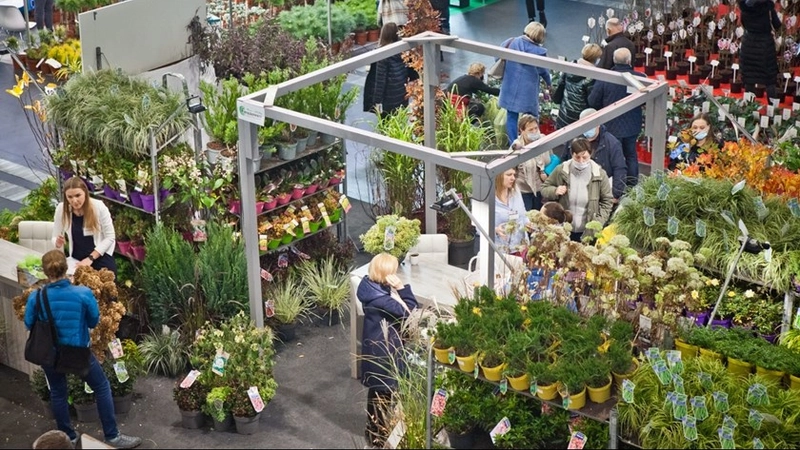 Show Gardenia Fair