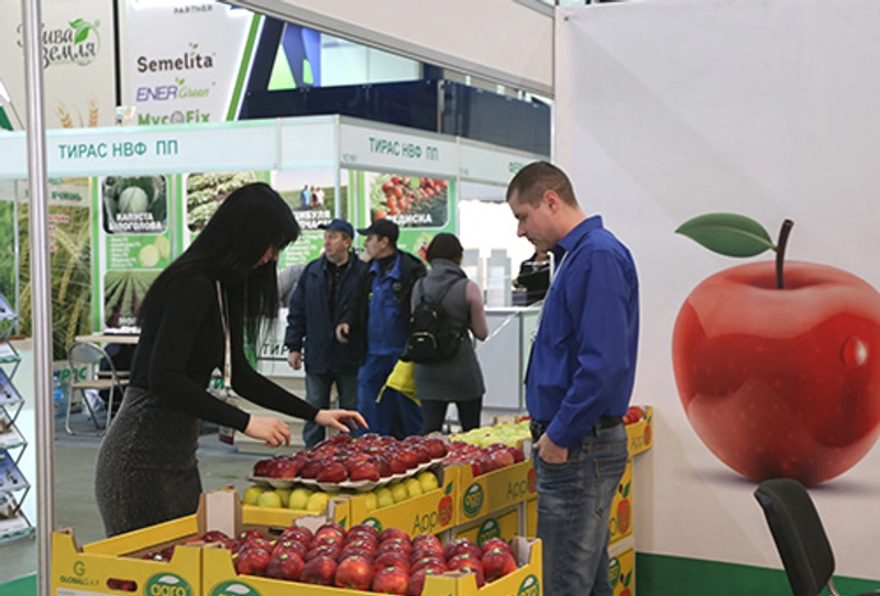 Event Fruit. Vegetables. Logistics