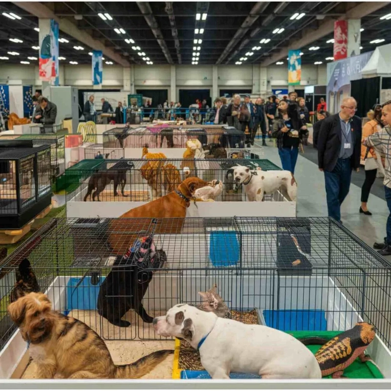 Show Expozoo Paris Animal Show