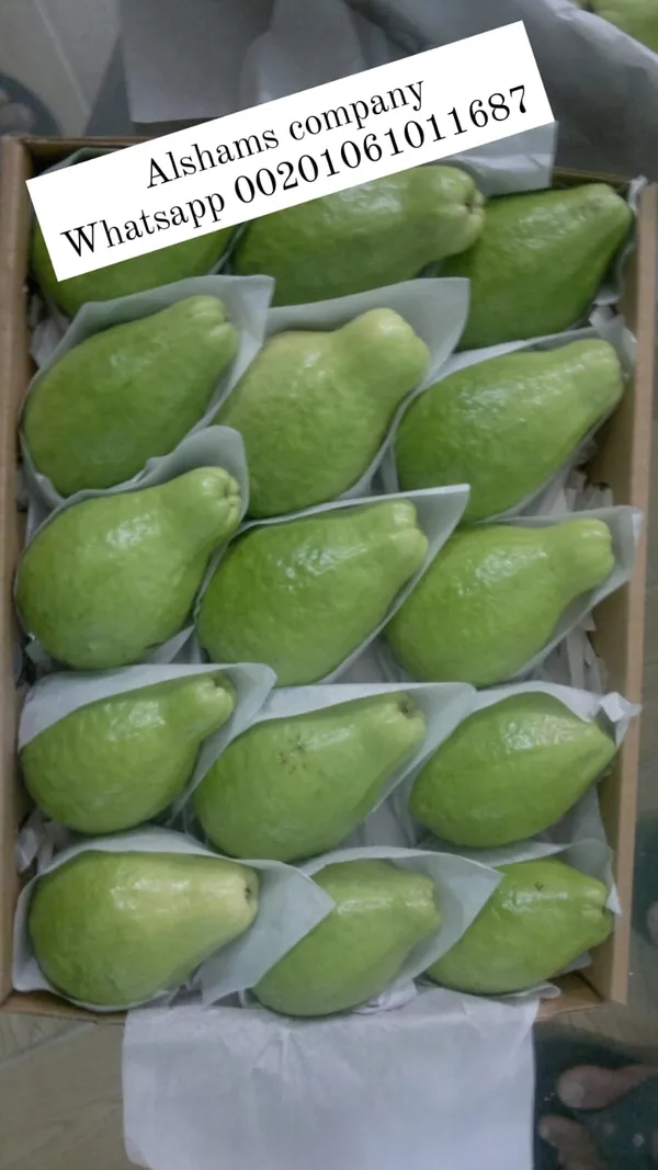 Selected Image