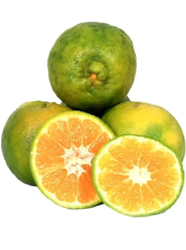 Selected Image