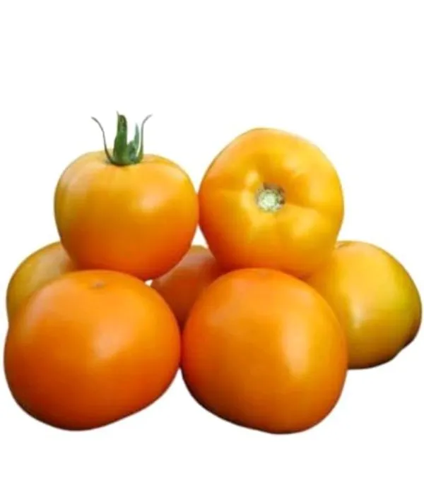 Selected Image