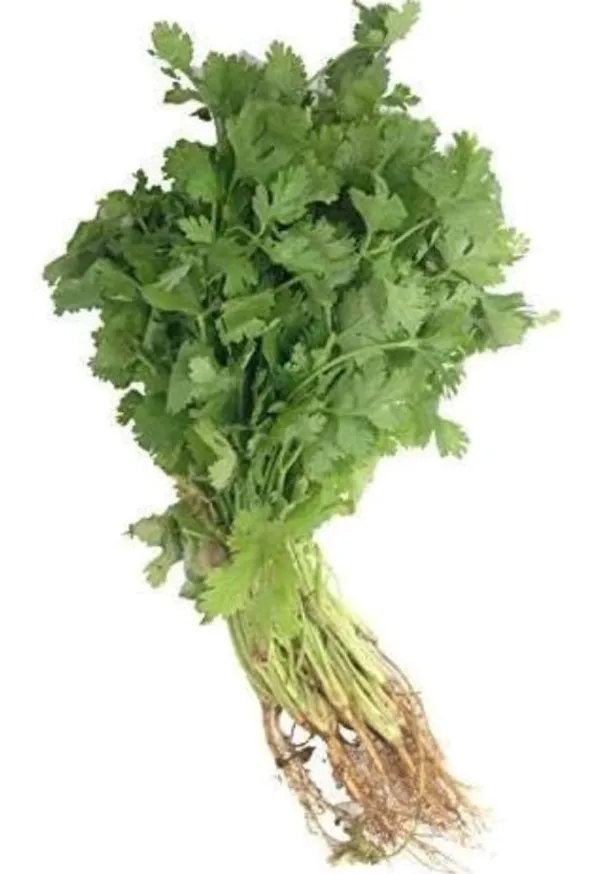 Selected Image
