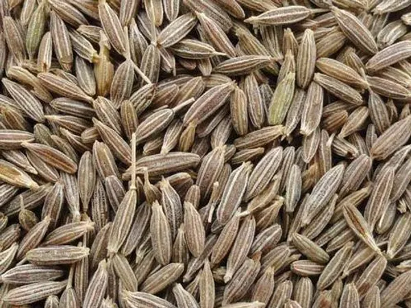 Selected Image