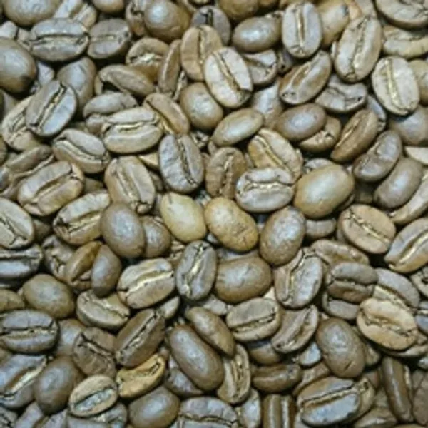 Selected Image