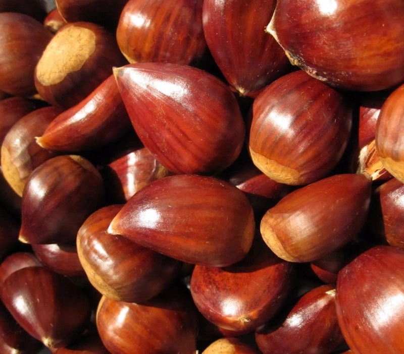 Selected Image