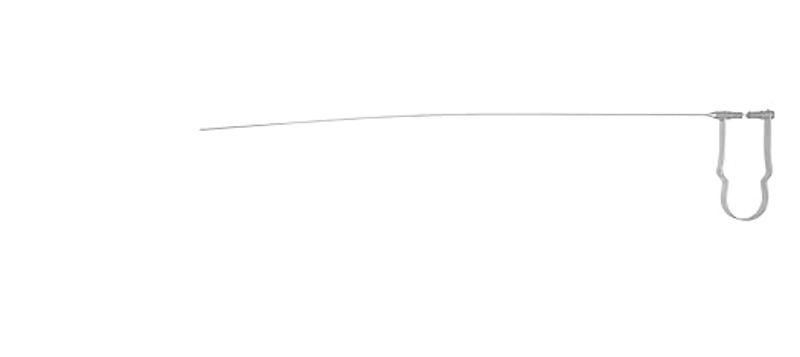 Selected Image