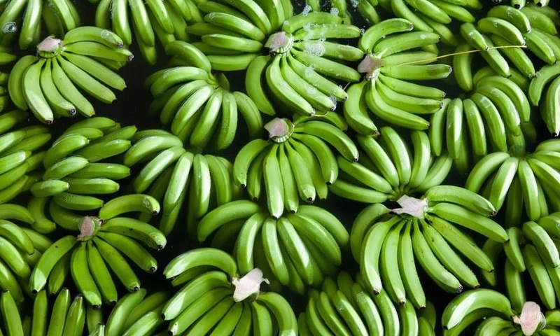 Selected Image