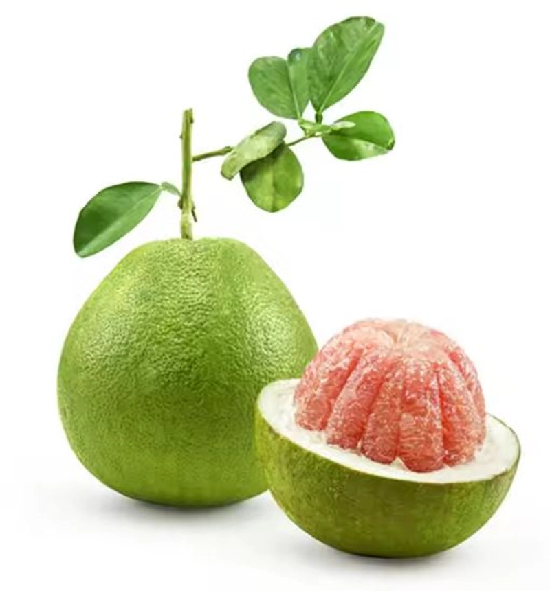 Selected Image