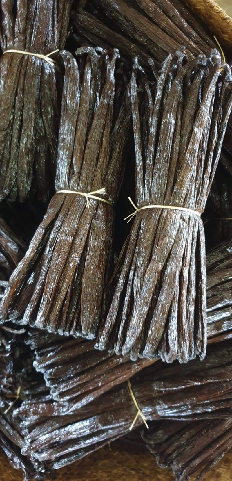 Selected Image