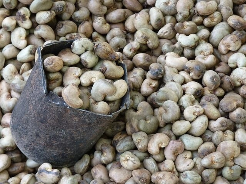 Selected Image