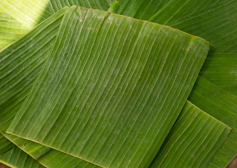 Selected Image