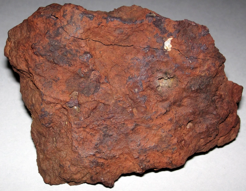 Selected Image