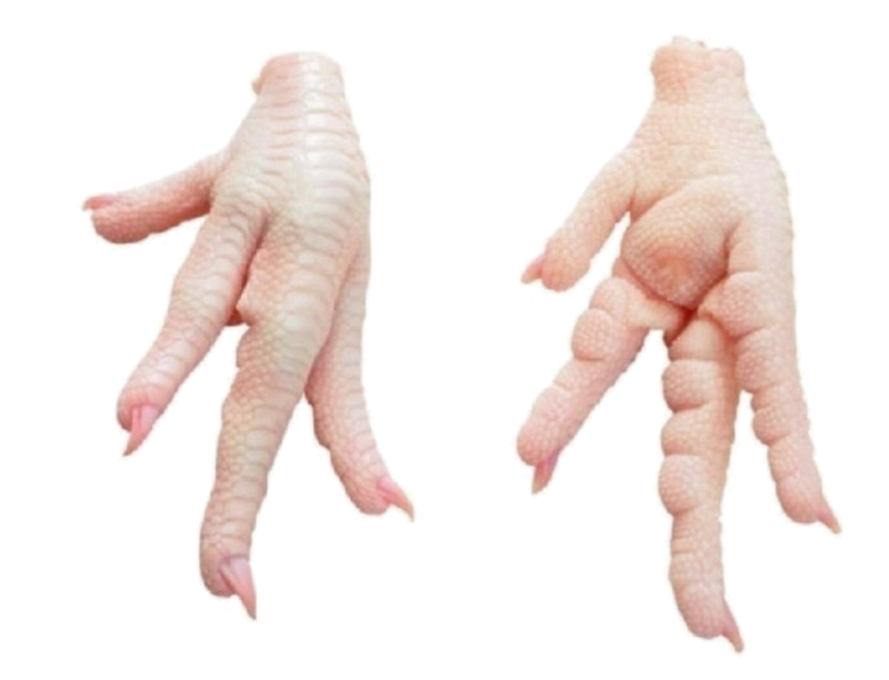 Selected Image