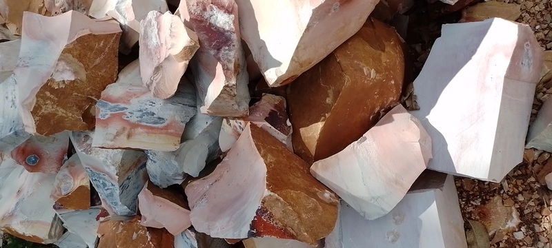 Selected Image