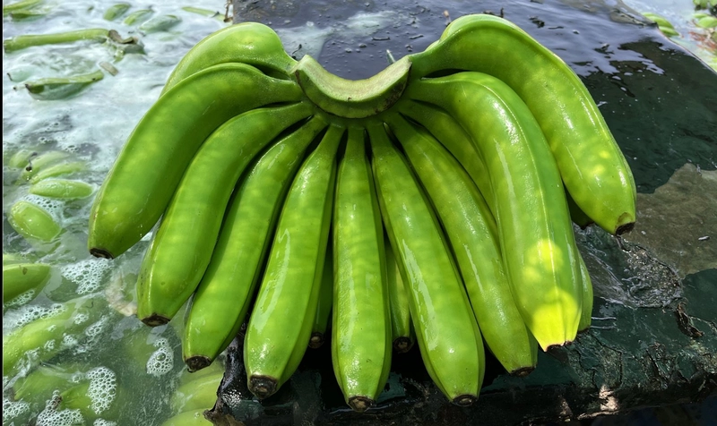 Selected Image