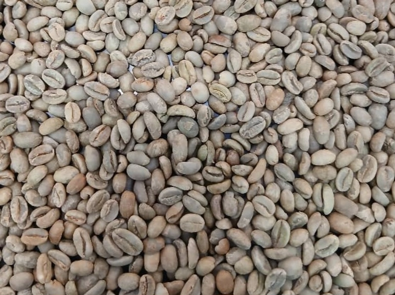 Buy Ethiopian Arabica Coffee Natural Processed Specialty