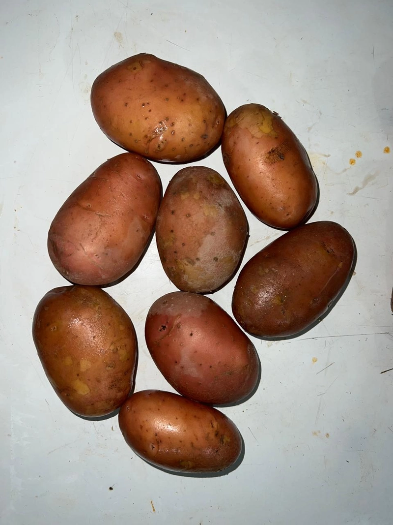Selected Image